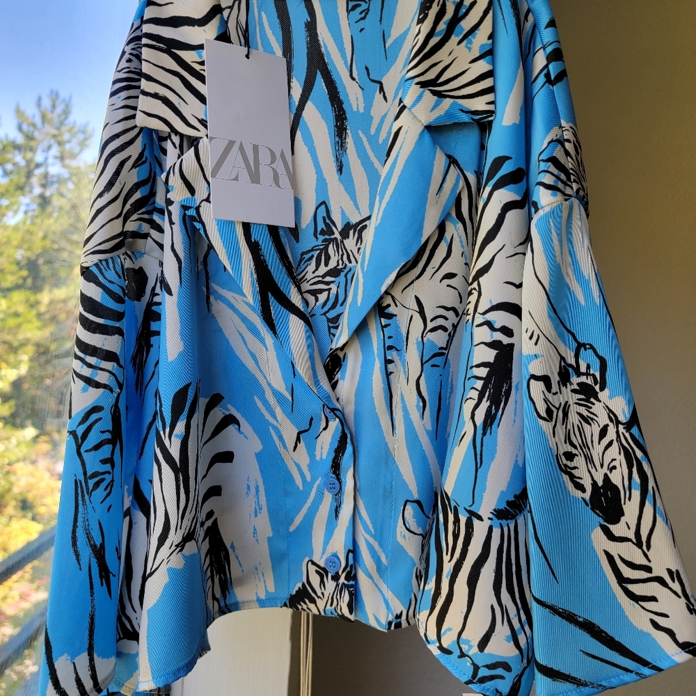 ZARA top